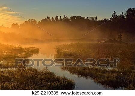 Stock Photography - A beaver pond in late summer at dawn, Greater Sudbury, Ontario, Canada.. Fotosearch