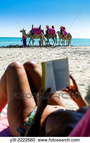 Africa, North Africa, Maghreb. Governorat of Medenine. Djerba island. Beach of Sidi Mehres. Tourist riding a book on a beach of Sidi Mehres. View Large Photo Image Stock Image - Africa, North Africa, Maghreb. Governorat of Medenine. Djerba island. Beach of Sidi Mehres. Tourist riding a book on a beach of Sidi Mehres.. Fotosearch
