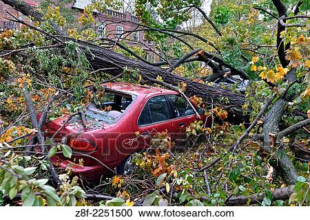 Aftermath of the tropical super storm Hurricane Sandy, Queens, New York, United States - October 30, 2012. View Large Photo Image Stock Image - Aftermath of the tropical super storm Hurricane Sandy, Queens, New York, United States - October 30, 2012.. Fotosearch