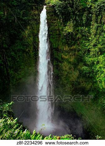 Akaka Falls at Big Island, Hawaii. View Large Photo Image Stock Photograph - Akaka Falls at Big Island, Hawaii.. Fotosearch