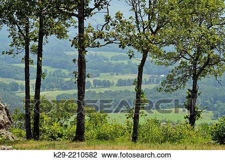 Stock Image - Arkansas River flood plain and farmland from Petit Jean gravesite, Petit Jean State Park, Morrilton, Arkansas, USA.. Fotosearch