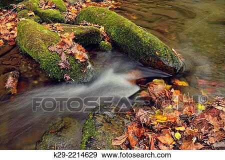 Autumn foliage around Big Creek, Great Smoky Mountains NP, Tennessee, USA. View Large Photo Image Stock Photo - Autumn foliage around Big Creek, Great Smoky Mountains NP, Tennessee, USA.. Fotosearch