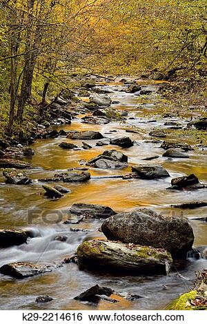 Stock Photograph - Autumn foliage reflected in the Middle Prong of the Little River at Tremont, Great Smoky Mountains NP, Tennessee, USA.. Fotosearch