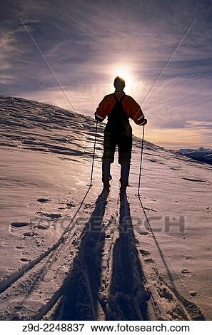 Backcountry skier silhouette at sunset, Hudson Bay Mountain, Smithers, British Columbia. View Large Photo Image Stock Photo - Backcountry skier silhouette at sunset, Hudson Bay Mountain, Smithers, British Columbia.. Fotosearch