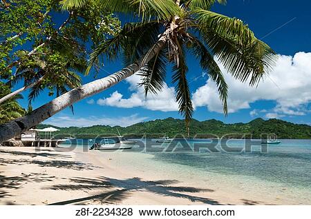 Beach and dive boats at Matangi Private Island Resort, Fiji. View Large Photo Image Stock Photo - Beach and dive boats at Matangi Private Island Resort, Fiji.. Fotosearch
