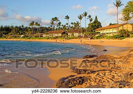 Beach in Napili Kahana, Maui Island, Hawaii, USA. View Large Photo Image Stock Photograph - Beach in Napili Kahana, Maui Island, Hawaii, USA.. Fotosearch