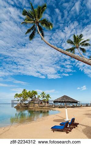 Beach, palm trees and Wicked Walu Restaurant at Warwick Fiji Resort & Spa, Coral Coast, Viti Levu Island, Fiji. View Large Photo Image Stock Image - Beach, palm trees and Wicked Walu Restaurant at Warwick Fiji Resort & Spa, Coral Coast, Viti Levu Island, Fiji.. Fotosearch