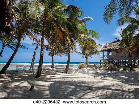 Belize, Glovers reef Atoll, long caye. View Large Photo Image Stock Image - Belize, Glovers reef Atoll, long caye.. Fotosearch