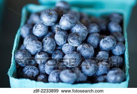 Blueberries in PA. View Large Photo Image Stock Photo - Blueberries in PA.. Fotosearch
