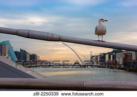Stock Photo - Bridge in Dublin.. Fotosearch