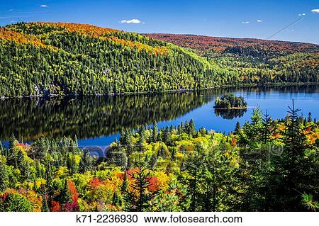 Brilliant fall foliage reflections in La Maurice National Park, Quebec, Canada. View Large Photo Image Stock Image - Brilliant fall foliage reflections in La Maurice National Park, Quebec, Canada.. Fotosearch