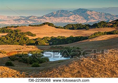 Briones Regional Park, Contra Costa County, California. View Large Photo Image Stock Photo - Briones Regional Park, Contra Costa County, California.. Fotosearch