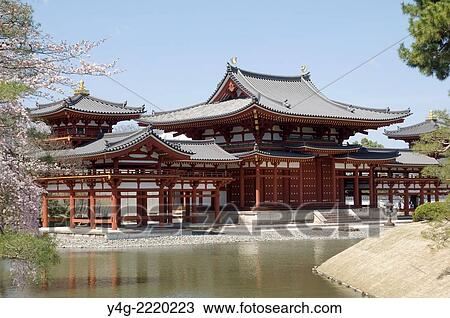 Byodo in, Uji, Near Kyoto, Japan, Temple, Morning sunshine, View across small lake, Horizontal, Cherry blossom. View Large Photo Image Stock Image - Byodo in, Uji, Near Kyoto, Japan, Temple, Morning sunshine, View across small lake, Horizontal, Cherry blossom.. Fotosearch