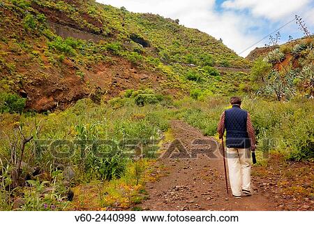 Canary Islands View Large Photo Image Stock Photo - Canary Islands. Fotosearch