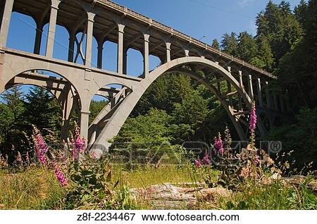 Cape Creek Bridge at Devil´s Elbow State Park on the Oregon Coast. View Large Photo Image Stock Photo - Cape Creek Bridge at Devil´s Elbow State Park on the Oregon Coast.. Fotosearch