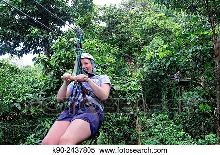 Stock Photography - Caucasian woman gliding along a zip line in the rain forest of St Lucia while others are waiting on platform, Windward Islands, Lesser Antilles, Eastern Caribbean Islands, West Indies, Americas.. Fotosearch