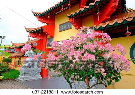 Stock Image - Chinese temple at Beliong, Sarawak, Malaysia.. Fotosearch