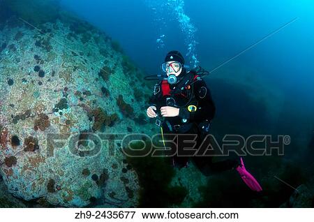 Stock Photo - Diver, Sea of Japan, Far East, Primorsky Krai, Russian Federation.. Fotosearch