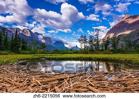 Stock Photograph - Driftwood and pond, Saint Mary Lake, Glacier National Park, Montana USA.. Fotosearch