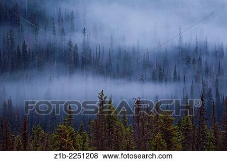 Early morning mist in the Bugaboo Mountains, British Columbia, Canada View Large Photo Image Stock Photo - Early morning mist in the Bugaboo Mountains, British Columbia, Canada. Fotosearch