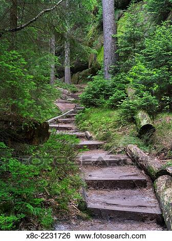 Elbe Sandstone Mountains (Elbsandsteingebirge) in the National Park Saxon Switzerland (Saechsische Schweiz). Hiking trails through the primeval forests and rock formations of the National Park. Europe, central europe, germany, saxony, June. View Large Photo Image Stock Photograph - Elbe Sandstone Mountains (Elbsandsteingebirge) in the National Park Saxon Switzerland (Saechsische Schweiz). Hiking trails through the primeval forests and rock formations of the National Park. Europe, central europe, germany, saxony, June.. Fotosearch