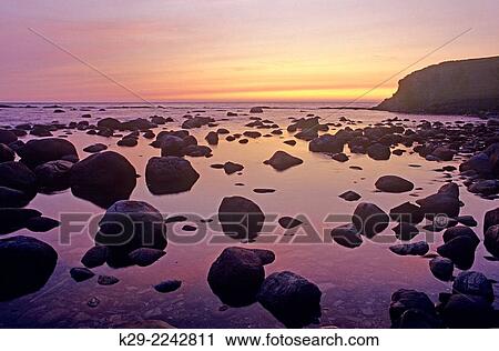 Evening light on rocks at Green Pt. at low tide, Gros Morne NP, NL, Canada. View Large Photo Image Stock Image - Evening light on rocks at Green Pt. at low tide, Gros Morne NP, NL, Canada.. Fotosearch