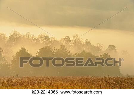 Stock Photography - Fall colour in misty Cades Cove, Great Smoky Mountains NP, Tennessee, USA.. Fotosearch