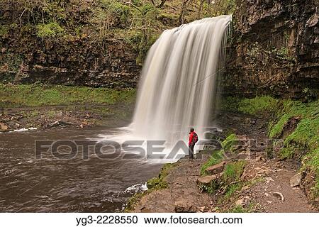 Stock Image - Female hiker stands near Sgwd yr Eira Waterfall - River Hepste, near Ystradfellte, Brecon Beacons national park, Wales.. Fotosearch