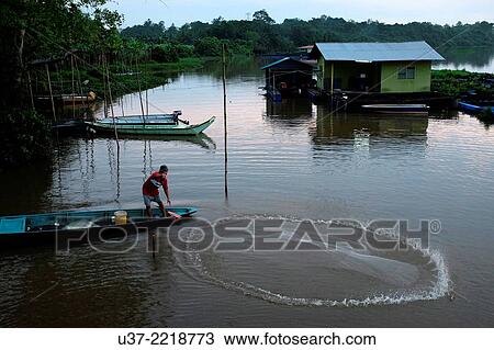 Fisherman throwing fishing net early in the morning at Kampung Sejijak, Matang, Sarawak, Malaysia. View Large Photo Image Stock Image - Fisherman throwing fishing net early in the morning at Kampung Sejijak, Matang, Sarawak, Malaysia.. Fotosearch