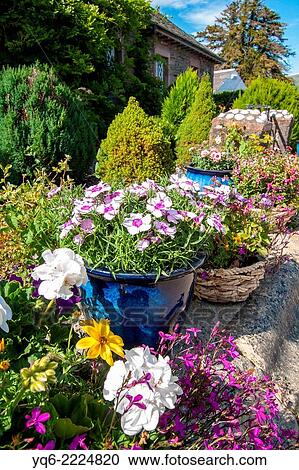 Flower decoration outside a house. View Large Photo Image Stock Image - Flower decoration outside a house.. Fotosearch