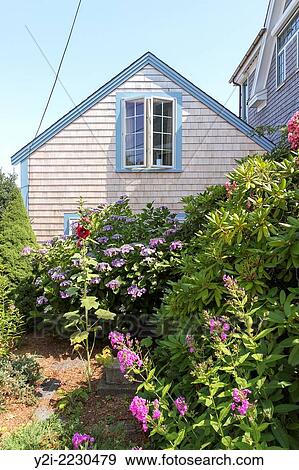 Flowers frame a view of a peaked roof and open window in Provincetown, Massachusetts, USA. View Large Photo Image Stock Photo - Flowers frame a view of a peaked roof and open window in Provincetown, Massachusetts, USA.. Fotosearch