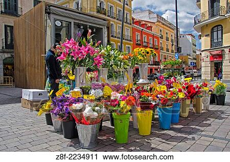 Flowers Kiosk in Tirso de Molina square. Madrid, Spain. View Large Photo Image Stock Image - Flowers Kiosk in Tirso de Molina square. Madrid, Spain.. Fotosearch