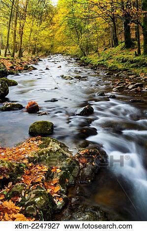 Stock Photo - Forest and river in autumn. Ucieda. Ruente. Cabuerniga Valley. Cantabria, Spain, Europe.. Fotosearch