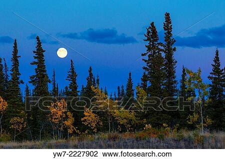Full moon in Alaska, USA. View Large Photo Image Stock Image - Full moon in Alaska, USA.. Fotosearch