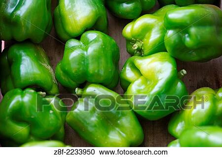 Green peppers. View Large Photo Image Stock Image - Green peppers.. Fotosearch