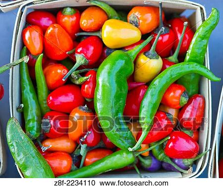 Green, red and yellow peppers at farmer´s market. View Large Photo Image Stock Image - Green, red and yellow peppers at farmer´s market.. Fotosearch