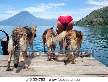 Guatemala, Lake Atitlan, Jaibalito, German shepherds with owner on dock View Large Photo Image Stock Image - Guatemala, Lake Atitlan, Jaibalito, German shepherds with owner on dock. Fotosearch