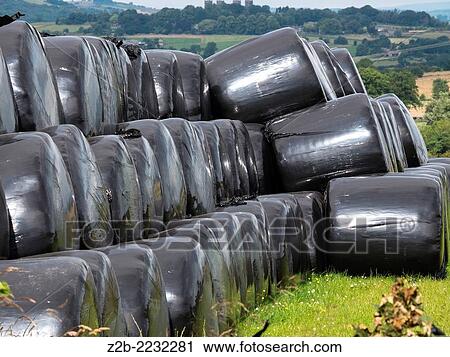 Hay bales wrapped in black plastic, Derbyshire, UK. View Large Photo Image Stock Image - Hay bales wrapped in black plastic, Derbyshire, UK.. Fotosearch