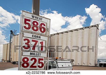 Holyoke, Colorado - Prices for wheat, corn, and millet posted at a grain elevator in eastern Colorado. View Large Photo Image Stock Photograph - Holyoke, Colorado - Prices for wheat, corn, and millet posted at a grain elevator in eastern Colorado.. Fotosearch