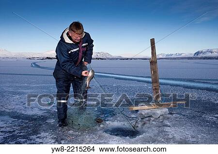 Ice fishing for arctic char on Lake Thingvellir, Thingvellir National Park, Iceland. View Large Photo Image Picture - Ice fishing for arctic char on Lake Thingvellir, Thingvellir National Park, Iceland.. Fotosearch