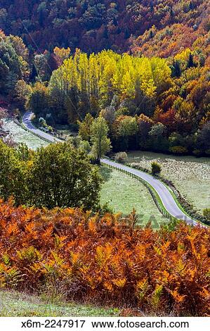 Stock Photo - Irati Forest. Navarre, Spain. Europe.. Fotosearch