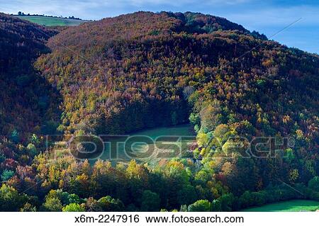 Irati Forest. Navarre, Spain. Europe. View Large Photo Image Stock Photograph - Irati Forest. Navarre, Spain. Europe.. Fotosearch