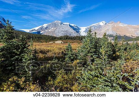 Landscape and the Athabasca glacier on the Columbia Icefield Parkway, Alberta, Canada View Large Photo Image Stock Photo - Landscape and the Athabasca glacier on the Columbia Icefield Parkway, Alberta, Canada. Fotosearch