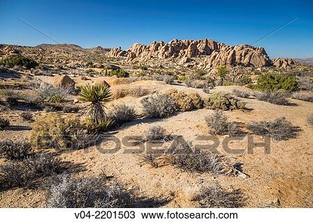 Large boulders and desert landscape in the Joshua Tree National Park, California, USA View Large Photo Image Stock Image - Large boulders and desert landscape in the Joshua Tree National Park, California, USA. Fotosearch