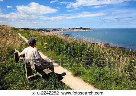Man Sitting on a Bench on the Cleveland Way Overlooking South Bay Scarborough North Yorkshire England. View Large Photo Image Stock Image - Man Sitting on a Bench on the Cleveland Way Overlooking South Bay Scarborough North Yorkshire England.. Fotosearch