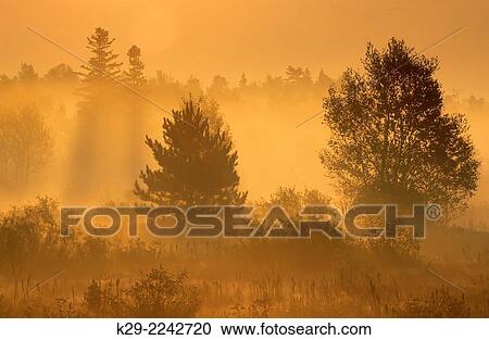 Morning mists in an old field, Greater Sudbury, Ontario, Canada. View Large Photo Image Stock Image - Morning mists in an old field, Greater Sudbury, Ontario, Canada.. Fotosearch