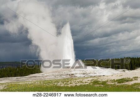 Old Faithful Erupting, Yellowstone National Park Wyoming. View Large Photo Image Stock Photo - Old Faithful Erupting, Yellowstone National Park Wyoming.. Fotosearch