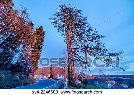 Orreaga, Roncesvalles, Navarre, Spain. View Large Photo Image Stock Photo - Orreaga, Roncesvalles, Navarre, Spain.. Fotosearch