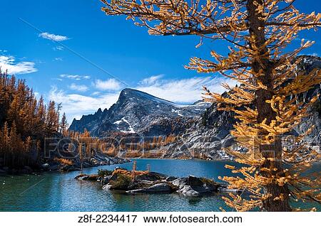 Perfection Lake and Little Annapurna mountain with alpine larch trees showing autumn color in The Enchantments, Alpine Lakes Wilderness, Washington. View Large Photo Image Stock Photo - Perfection Lake and Little Annapurna mountain with alpine larch trees showing autumn color in The Enchantments, Alpine Lakes Wilderness, Washington.. Fotosearch