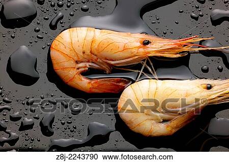 prawn. View Large Photo Image Stock Image - prawn.. Fotosearch